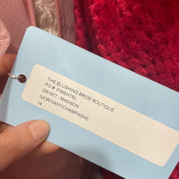 Bridal Dress - Picture 6 of 7